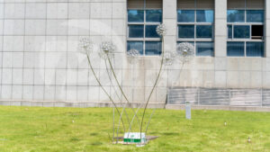 Stainless Steel Plant Sculptures