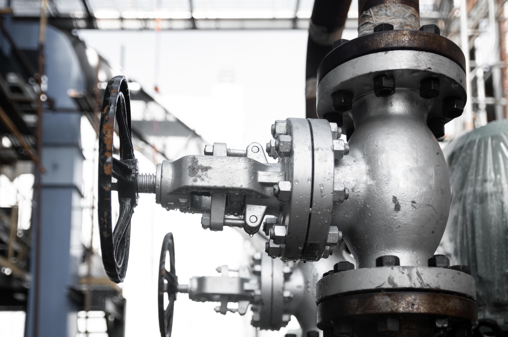 Globe Valves Manufacturers