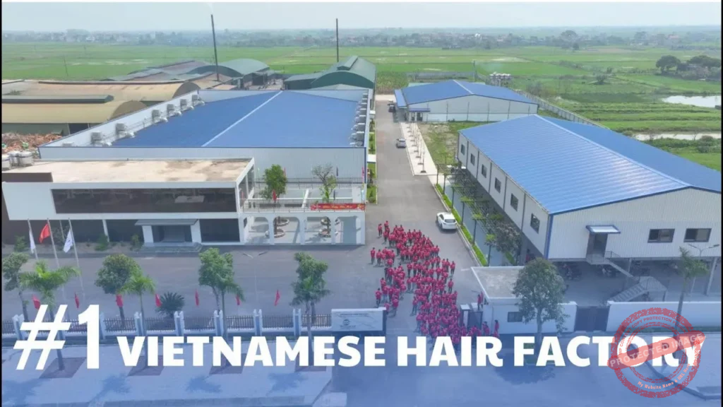 #1 Vietnamese Hair Factory, Wholesale Human Hair Manufacturer ...