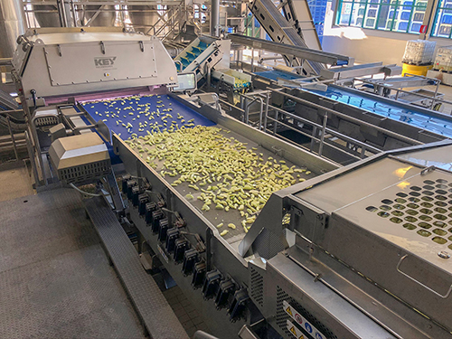 Illustrative example of apple sorting machine from Google Search