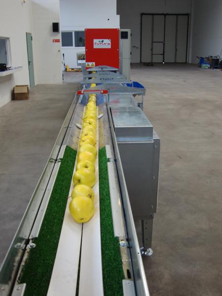 Illustrative example of apple sorting machine from Google Search