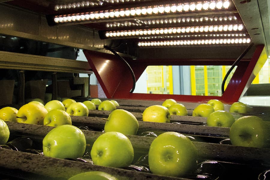 Illustrative example of apple sorting machine from Google Search