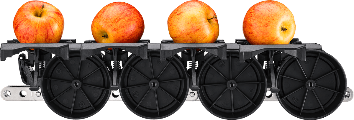 Illustrative example of apple sorting machine from Google Search