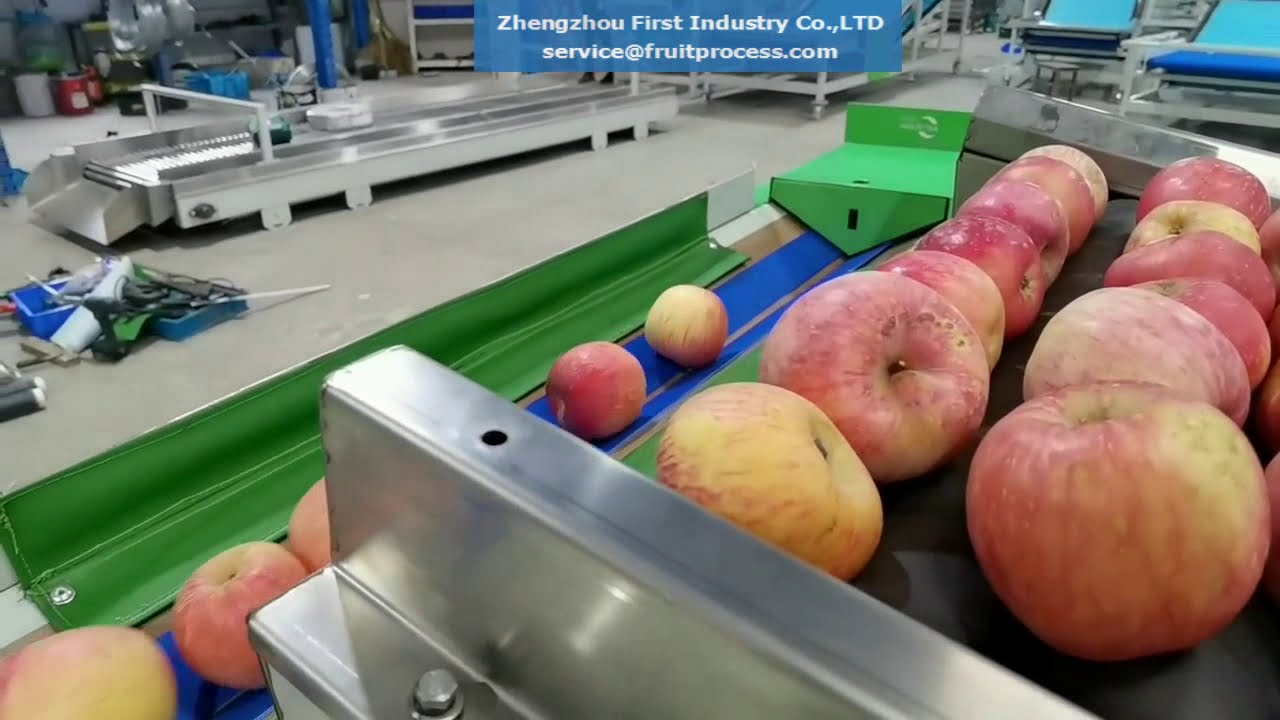 Illustrative example of apple sorting machine from Google Search