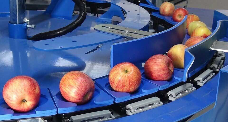 Illustrative example of apple sorting machine from Google Search