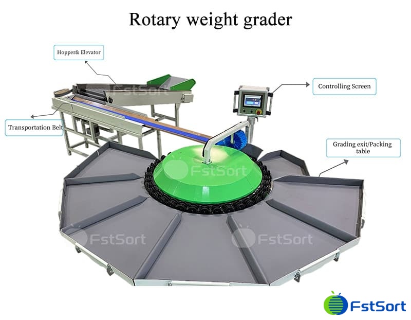 Illustrative example of apple sorting machine from Google Search