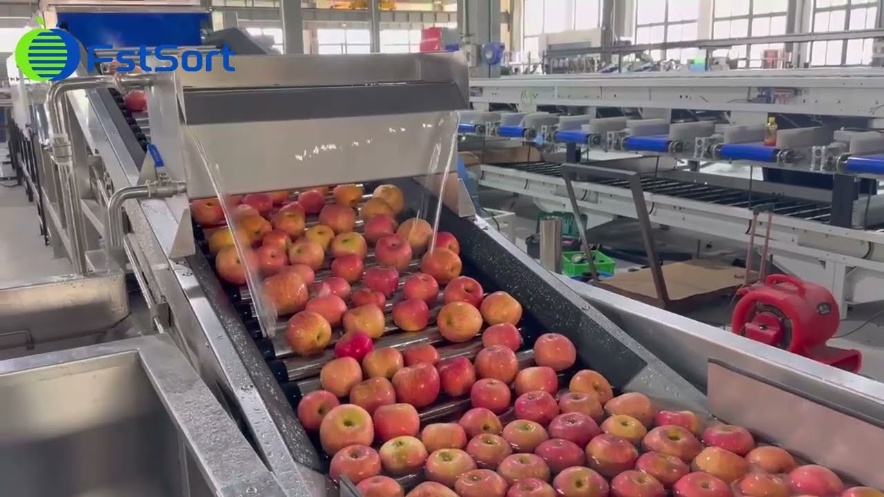 Illustrative example of apple sorting machine from Google Search