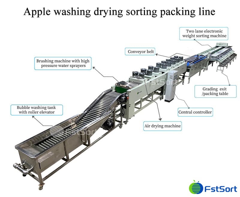 Illustrative example of apple sorting machine from Google Search