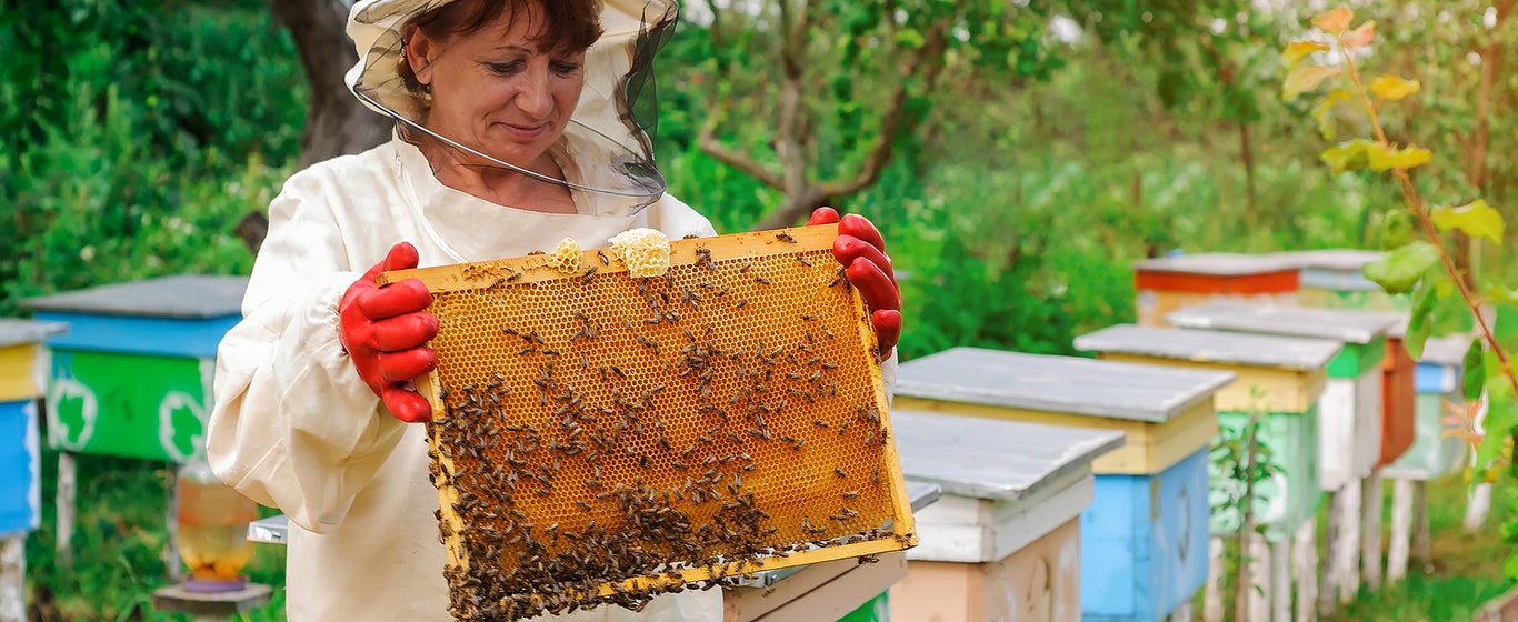 Blythewood Bee Company