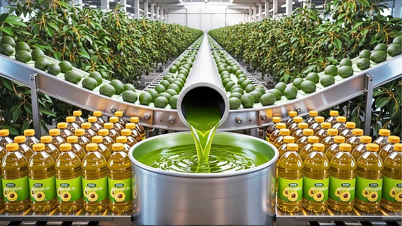 Bulk Avocado Oil industry insight