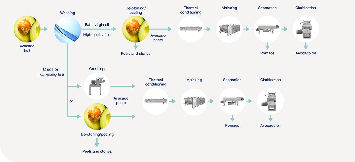 Bulk Avocado Oil industry insight