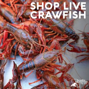 Buy Wholesale Live Crawfish Online