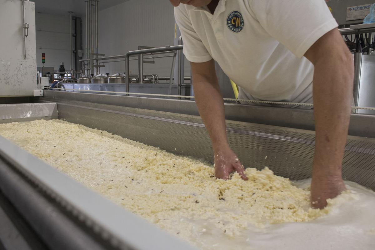 Illustrative example of cheese making vat from Google Search