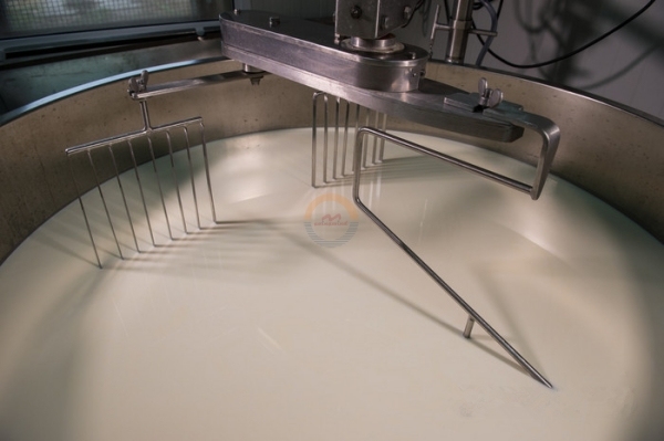 Illustrative example of cheese vat from Google Search