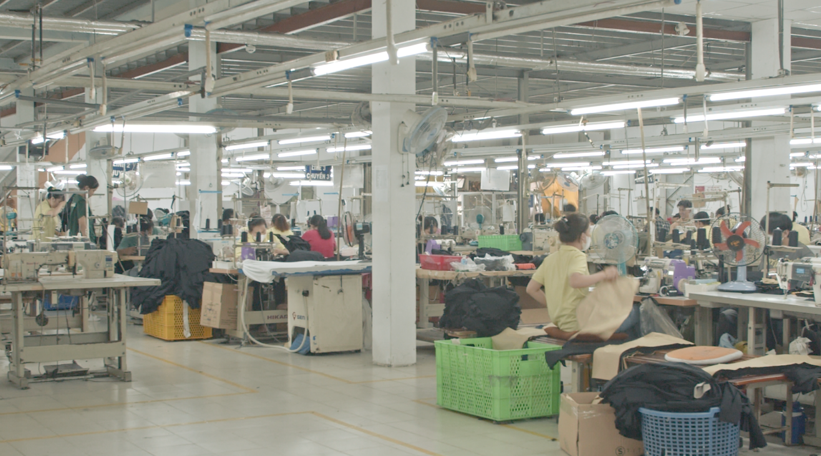 Companies Like Shein industry insight