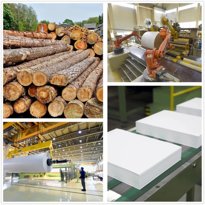 Copy Paper In Bulk industry insight