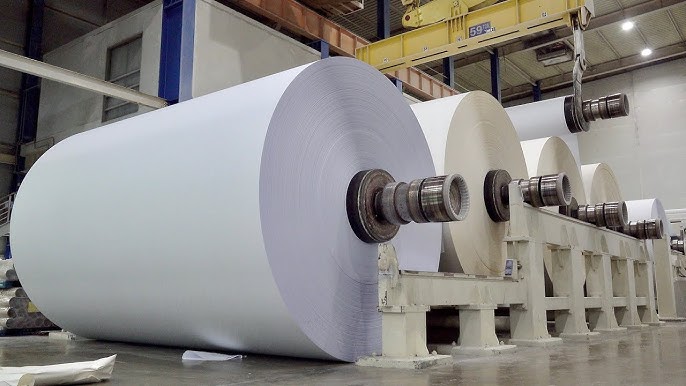 Copy Paper In Bulk industry insight