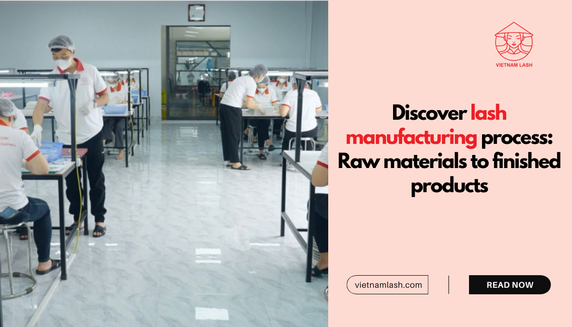 Lash Supplies Wholesale industry insight