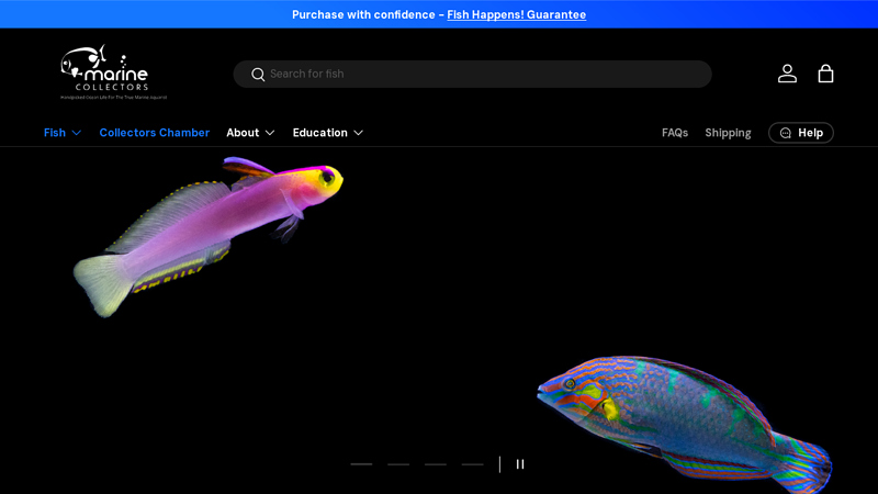 Marine Collectors: Saltwater Fish for Sale