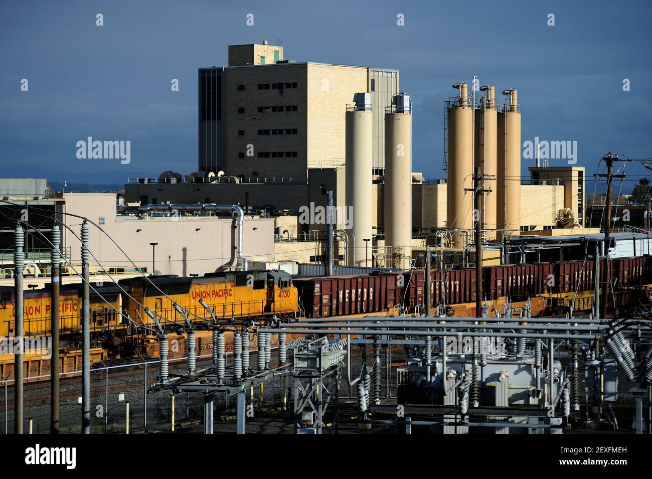 Mondelez Nabisco Oreo Cookies