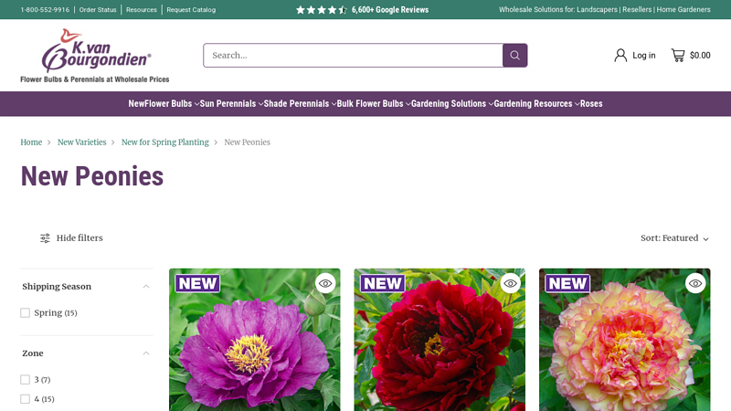 New Peonies - Bulk Peonies and Wholesale