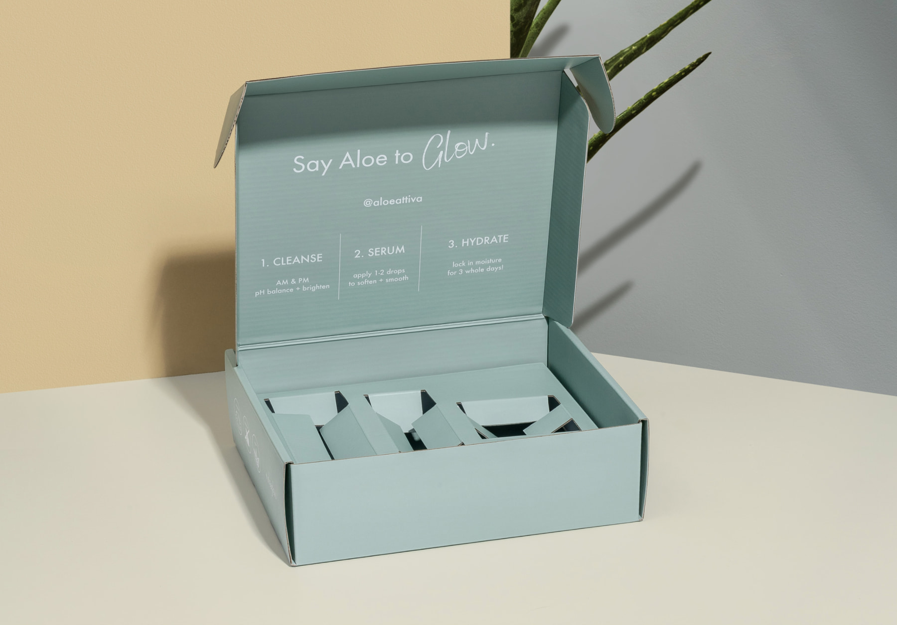 Illustrative example of packaging technology from Google Search