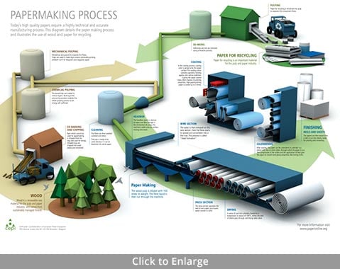 Paper industry insight