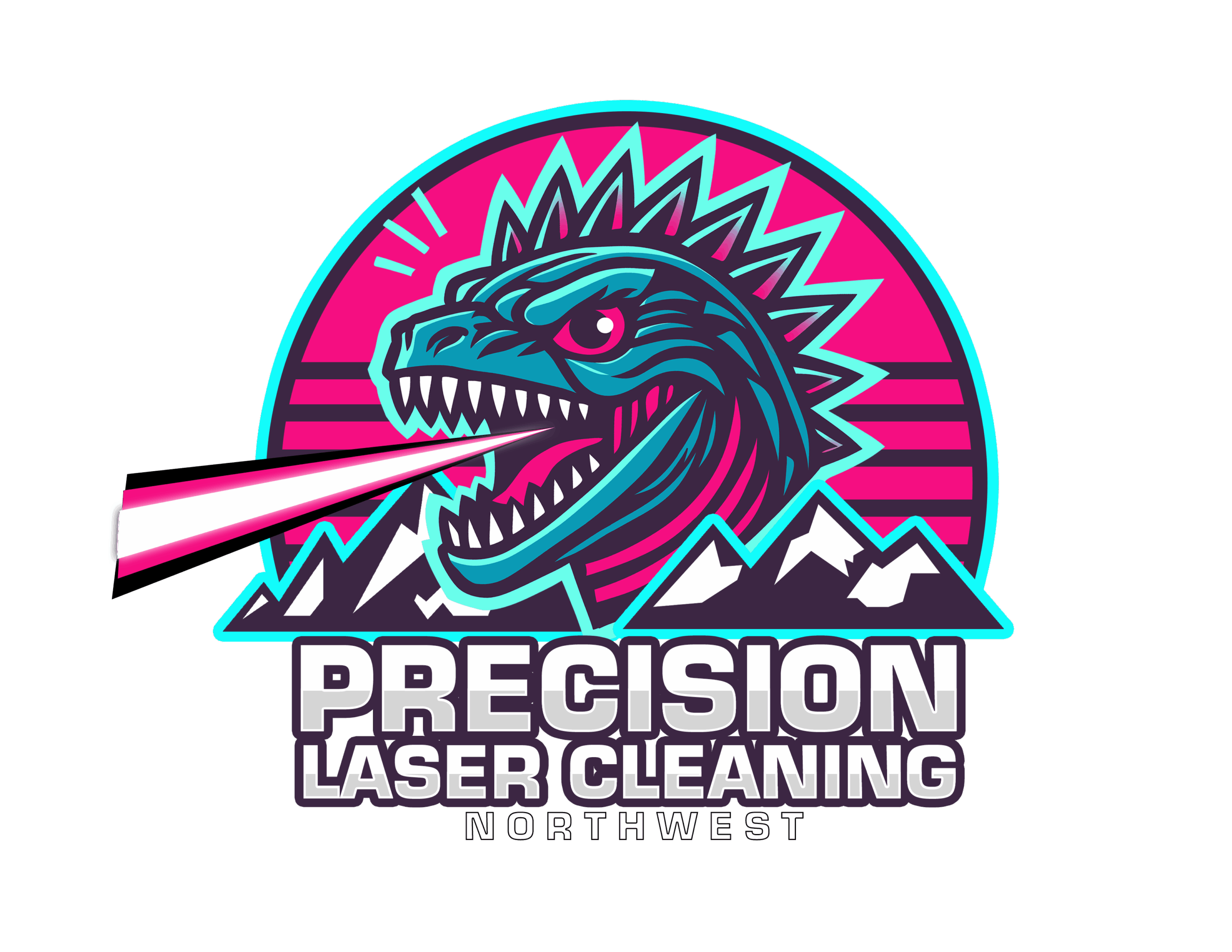 Precision Laser NW: Laser Cleaning Services