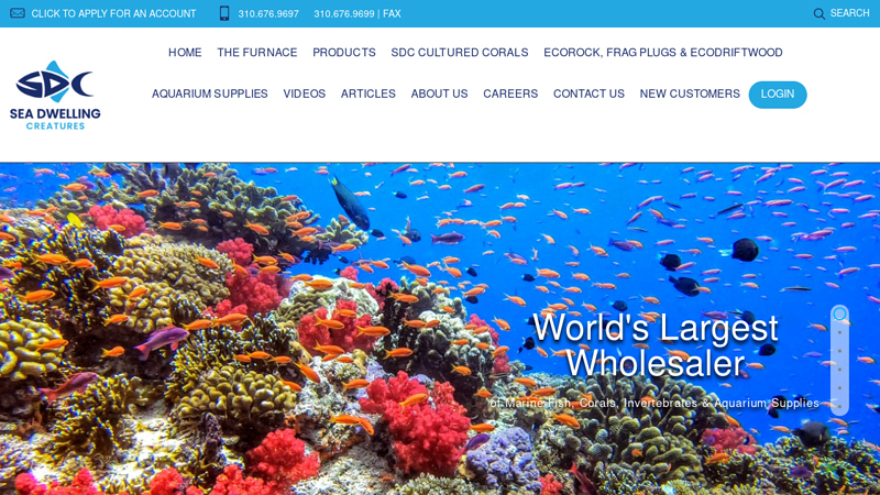 Sea Dwelling Creatures