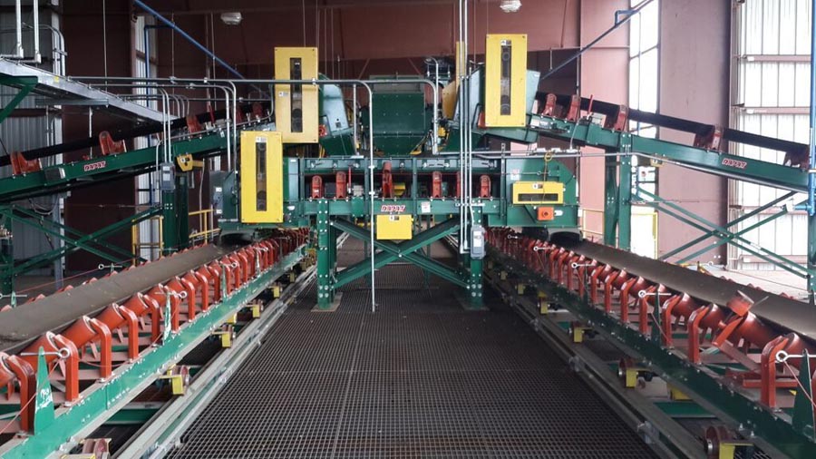 Shingle industry insight