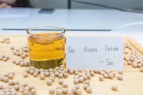 best pea protein powder manufacturers china