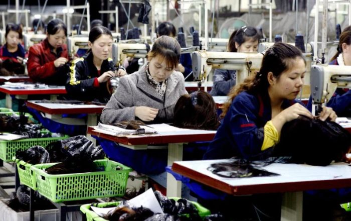 biggest hair factory in china