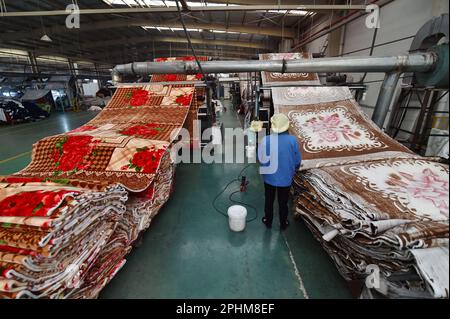 blanket factory in china