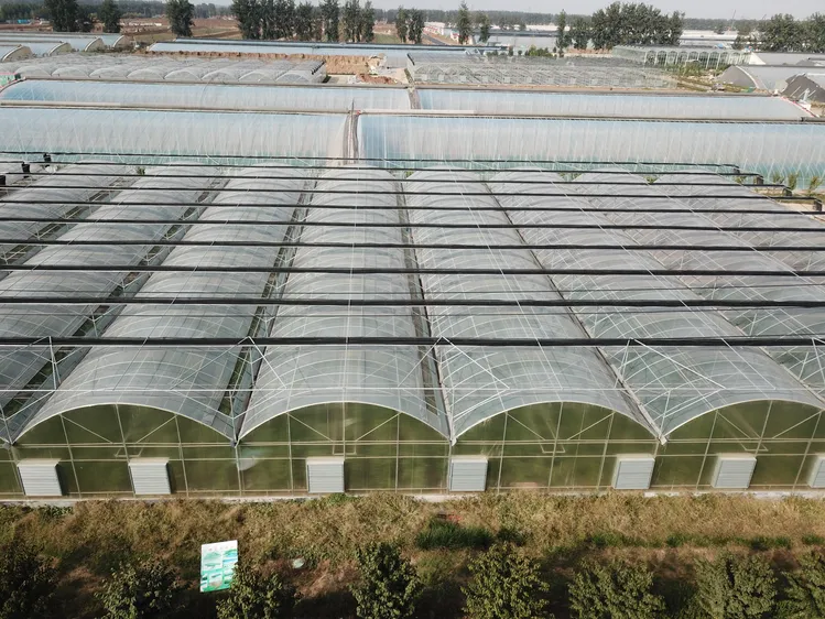 cheap greenhouse from china factory