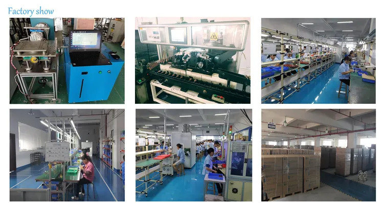 china 12v dc motor factory