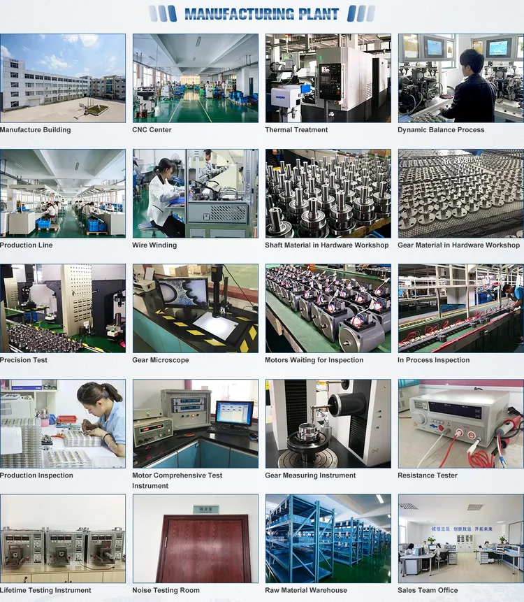 china 12v dc motor factory