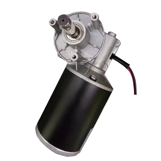 china 24v 350w dc motor manufacturers