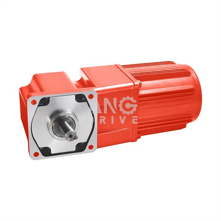 china 250w gear motor supplier China Factory