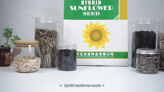 china 2868 sunflower seeds manufacturer