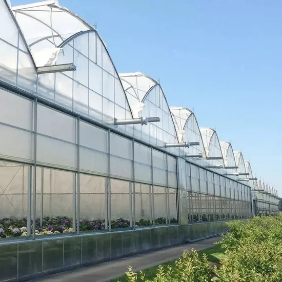china 30 x 100 greenhouse factory