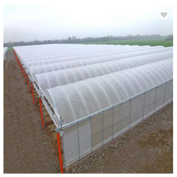 china 30 x 100 greenhouse factory