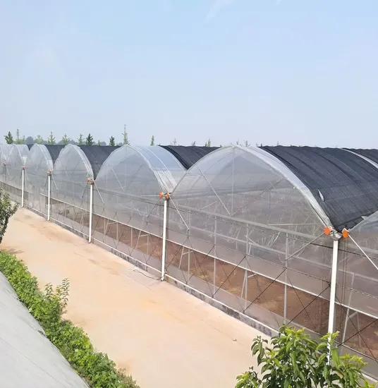 china 4 seasons greenhouse manufacturers China Factory