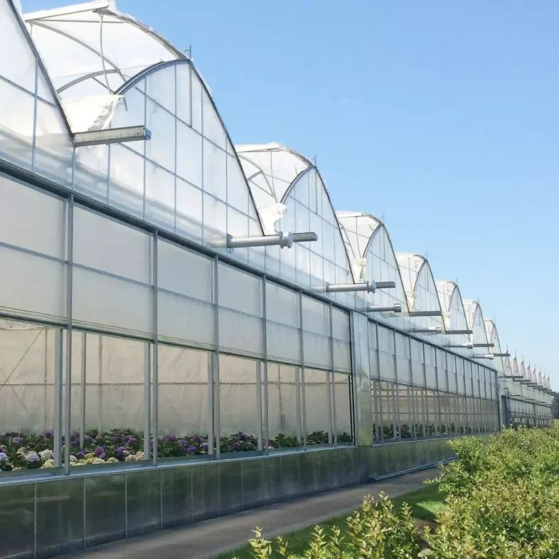 china 4 seasons greenhouse manufacturers