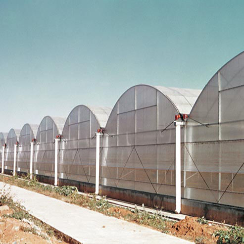 china 4 seasons greenhouse manufacturers