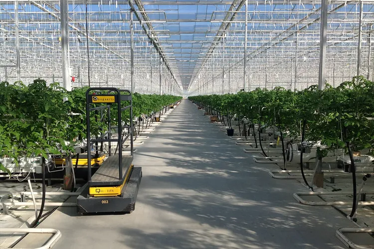 china 4 seasons greenhouse supplier