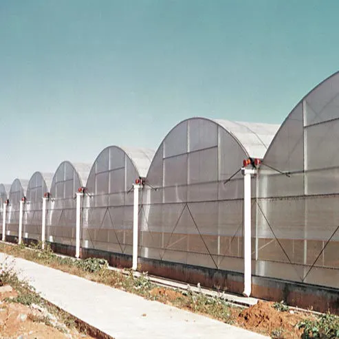 china 4 seasons greenhouse supplier