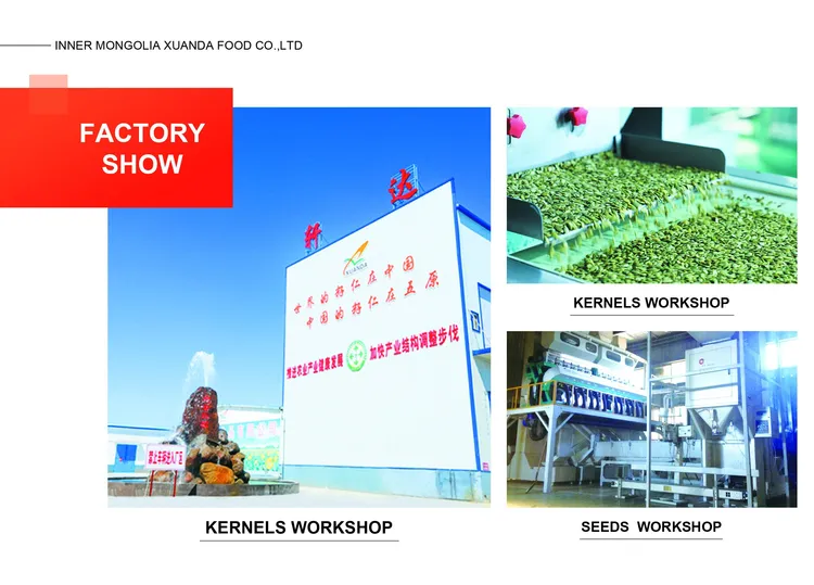 china 5009 sunflower seeds supplier