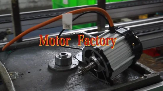 china 500w brushless dc motor factory