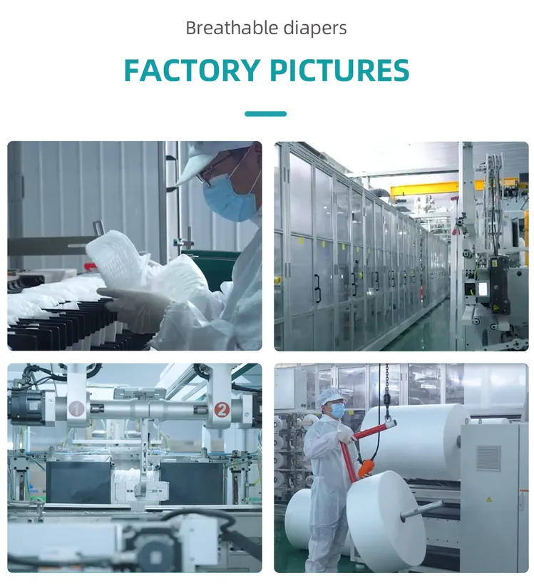 china adult pull ups underwear factory