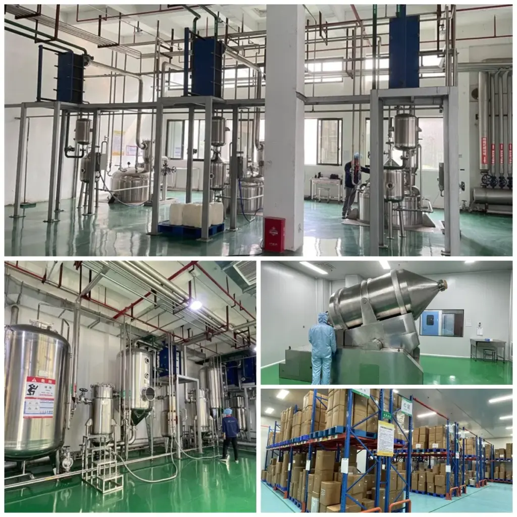 china andrographolide factory China Factory